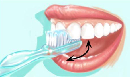 Technique de brossage des dents 5